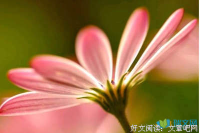 不可分割的名言_关于不可分割的名言