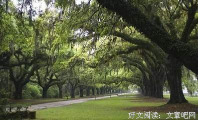 讲理的句子