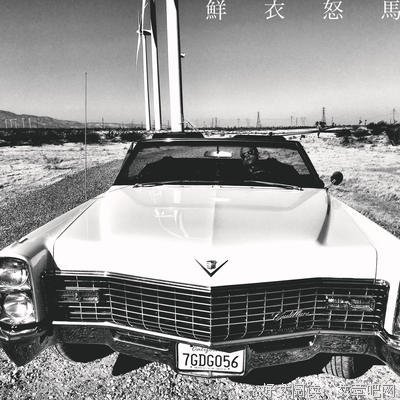 鲜衣怒马的名句_关于鲜衣怒马的名句