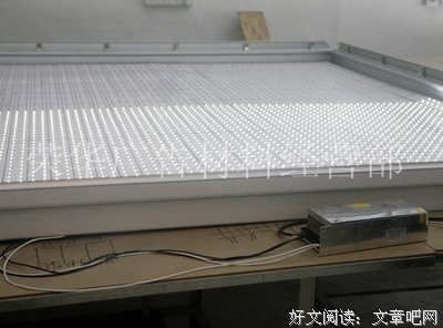 关于背阴的名言