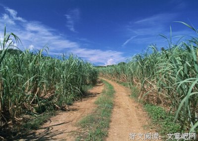 匆匆对吃说并发子吃说可会自年句子