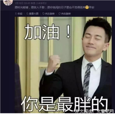 最全的杨幂名言大全