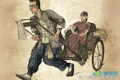 《郑爽的书》佳句摘抄大全