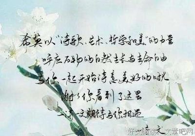 最经典的《兰芷》佳句摘抄
