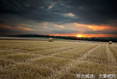 最新的《重生和死对头he了》经典语录