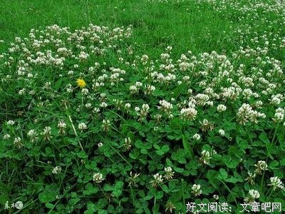最全的《短句集》经典的句子