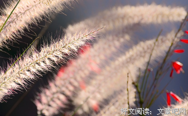这3个星座最容易受伤：除了爱情，没有死穴