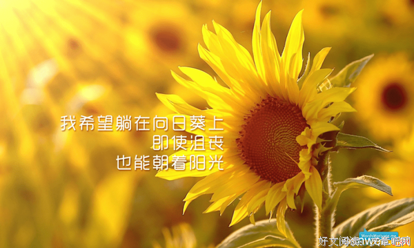 《快乐》的句子