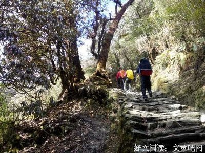 他大来缘浅，奈利有情深。的优美句子