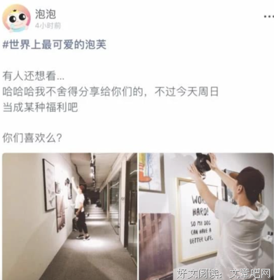 “郑爽，你男朋友可真丑”