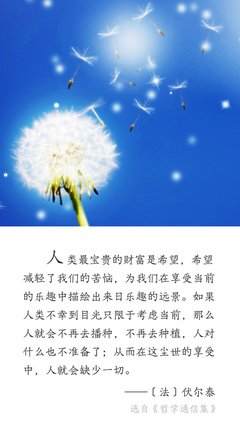 最经典的伏尔泰的名言