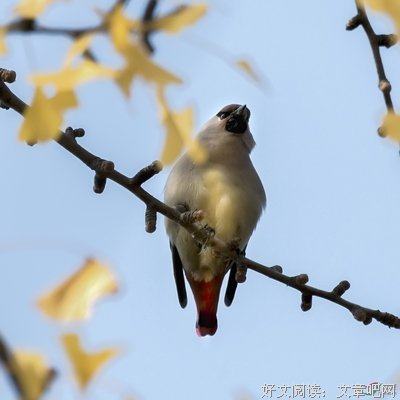 远瞳15句经典名言