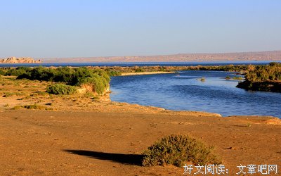 那夏精彩语录