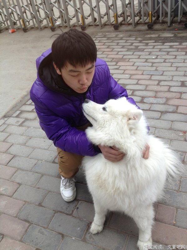 2019雪儿名言