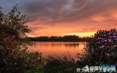 《我与你的光年距离》语录摘抄大全