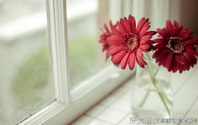 最新的《一半》经典语句