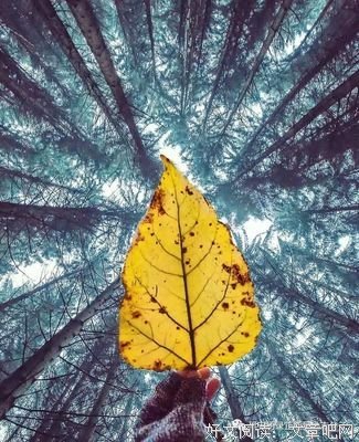 最经典的《城堡》小说句子