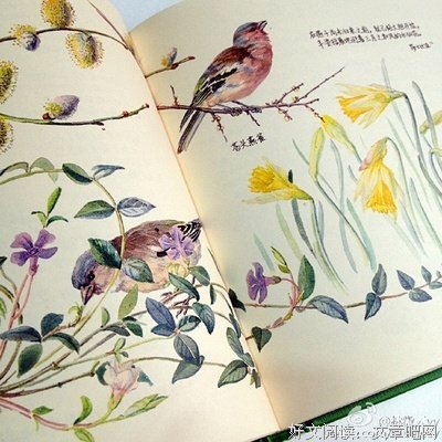 最全的《女校》小说摘抄大全
