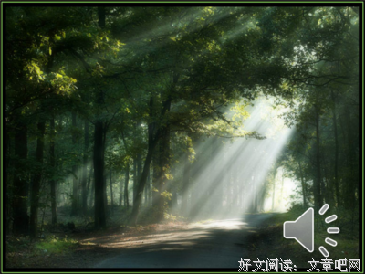 15条关于八哥的经典语句