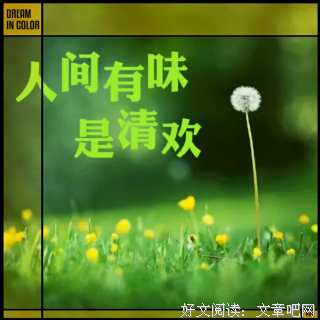 关于有味名言名句