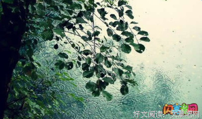 关于夏雨的唯美语录