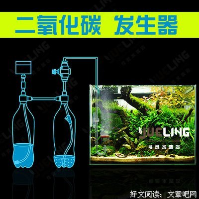 描写月灵的语句摘抄