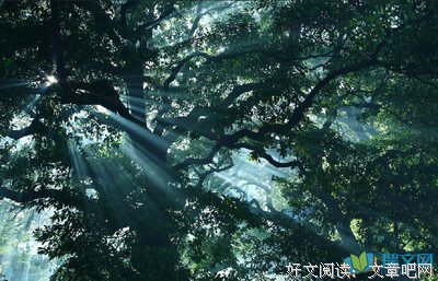 修身养性的句子