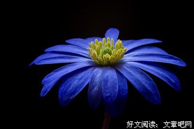 句子迷