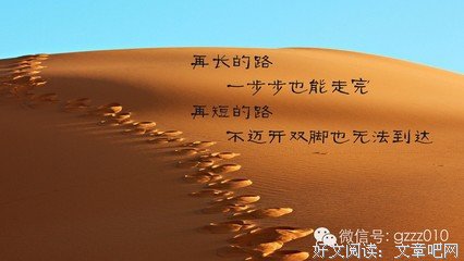 卢思浩的格言