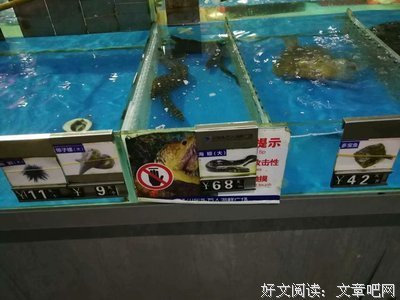 漫谈流年，不负遇见！