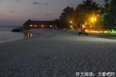 夏天岛的格言