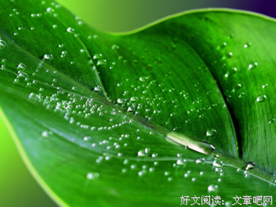 新起点 —— 阳光心态 灿烂人生