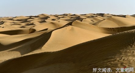 最经典的《沙海》名句欣赏