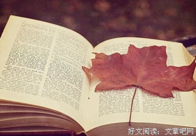 最经典的《画皮》小说句子