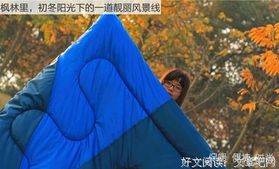 最新的《苍耳》小说摘抄