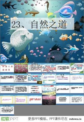 最经典的《长大》佳句摘抄