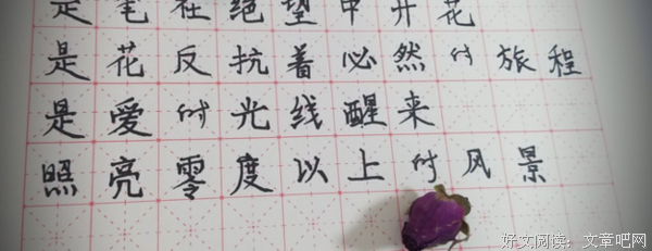 最新的《二三事》好段摘抄大全