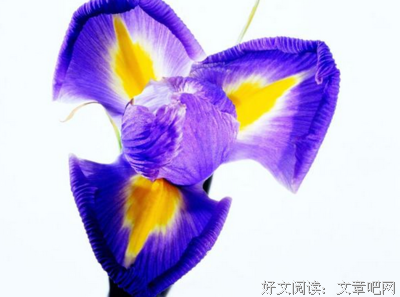 幸福的婚姻里，少说你 ，多说我。
