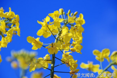 最全的《写给你》经典语句