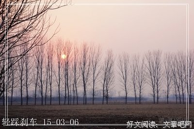 有关披星戴月的美文美句摘抄