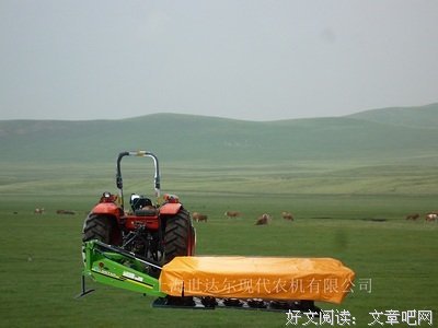 达尔的语句摘抄_关于达尔的语句