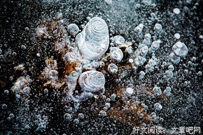 关于兵蛋的座右铭