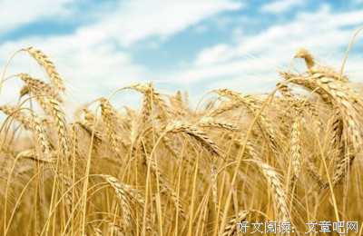 硕果累累的名言_关于硕果累累的名言