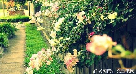 青春的句子