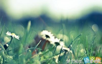每日一句的句子