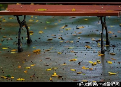 落叶蝴蝶经典的句子