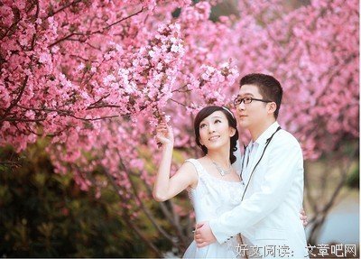寻梦蝶经典的句子
