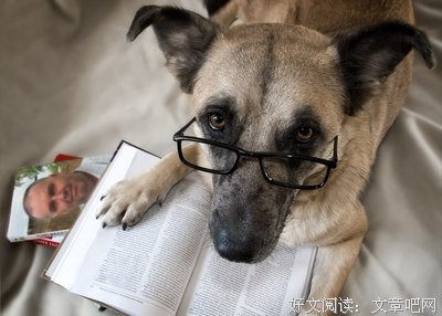 《犀声个》的句子