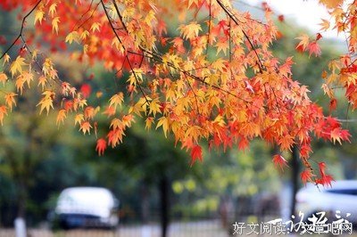 关于风将月种流转的句子