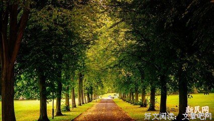 最全的《十日谈》经典语句